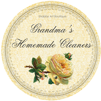 Shabby Art Boutique Grandma's Homemade Cleaners_edited-1