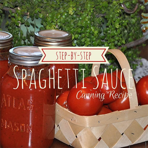 Spaghetti-Sauce-Canning-Recipe